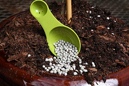 Bonsai Fertilizer Pellets by Perfect Plants - 5 Year Supply - All Natural Slow Release - Extended Enrichment for All Live Bonsai Tree Types