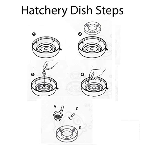 Brine Shrimp Hatchery Dish + 3 Months Supply of Brine Shrimp Eggs