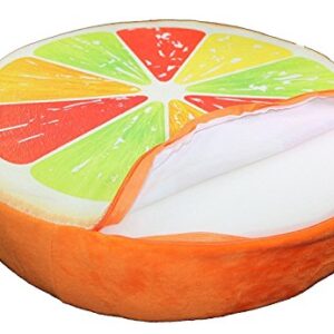 We pay your sales tax Memory Foam Cushion Pillow Doll Seat Pad Home Decor (Citrus Pillow)