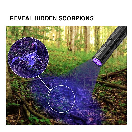 infray Pen Flashlight Black Light, Zoomable, Small 395nm Blacklight Detector for Dog Urine & Dry Stain. IPX5 Water-Resistant, Powered by 2AAA Batteries