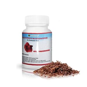 SunGrow Freeze Dried Bloodworms for Betta and Tropical Fish, 0.52 oz., High Protein Treat, Floating Food for Breeding Tanks