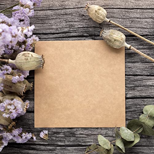 100 Thick Kraft Chipboard (30pt) - 8 1/2" x 11" - Perfect for Scrapbooking, Crafts & Product Backing…