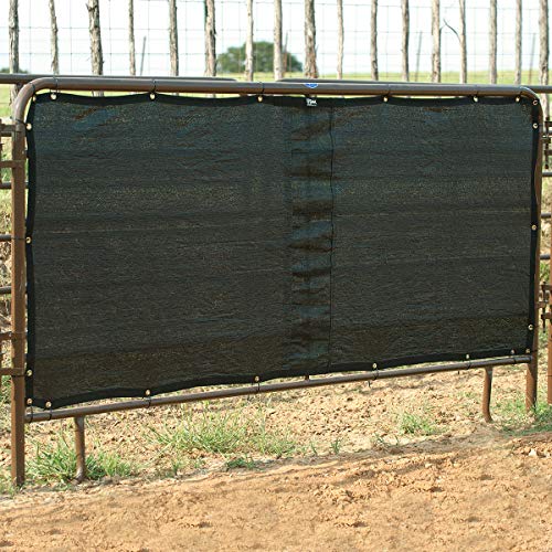 Cashel Stall Panel Screen, 10-foot