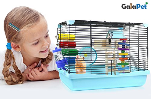 Hamster Cage | Dwarf Hamster Habitat with Exercise Wheel, Water Bottle & Accessories | 18" L x 12.5" W x 13.5" H by GalaPet