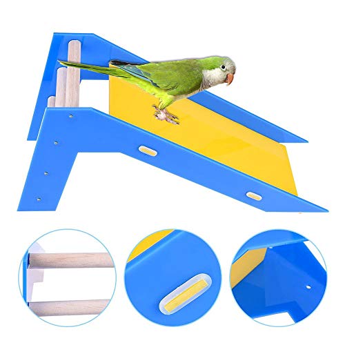 Bestmemories 2 in 1 Parrot's Slide Training Bird Toys and Crawling Ladder Parrot Educational Toys Bird Skill Training Slide Ladder Parrot Trick Training Sliding Prop