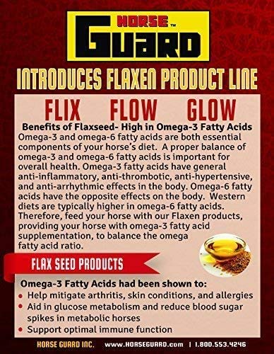 Flaxen Flow 3 L, 100% Flax Seed Oil, Rich in Omega-3 and Omega-6 Fatty Acids