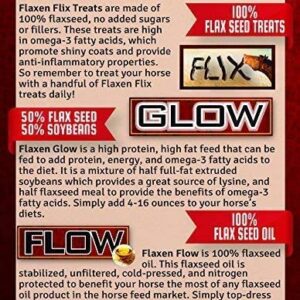 Flaxen Flow 3 L, 100% Flax Seed Oil, Rich in Omega-3 and Omega-6 Fatty Acids