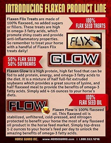 Flaxen Flow 3 L, 100% Flax Seed Oil, Rich in Omega-3 and Omega-6 Fatty Acids