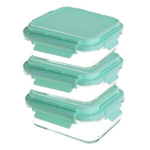 evolutionize glass meal prep containers - food storage glass containers with snap lock lids meal prep - airtight lunch containers portion control glass food containers - bpa free container