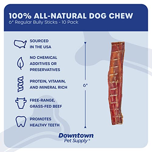 Downtown Pet Supply USA Sourced 6", 10 Pack Bully Sticks for Large Dogs, Regular - Rawhide Free Dog Chews Long Lasting and Non-Splintering - Single Ingredient, Low Odor Bully Sticks for Medium Dogs