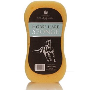 carr & day & martin horse care sponge (one size) (yellow)