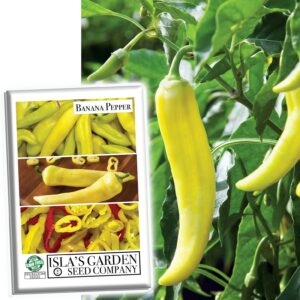 banana pepper seeds for planting, 100+ heirloom seeds per packet, (isla's garden seeds), non gmo seeds, other name: yellow wax pepper/banana chilies, scientific name: capsicum annuum