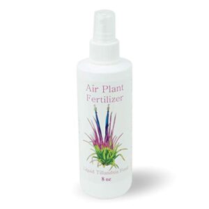 tillandsia air plant food | fertilizer kit with spray bottle and mister | encourages air plants to bloom with formulated nutrients by aquatic arts