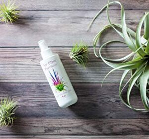 Tillandsia Air Plant Food | Fertilizer Kit with Spray Bottle and Mister | Encourages Air Plants to Bloom with Formulated Nutrients by Aquatic Arts