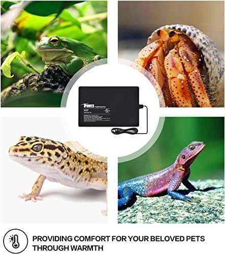 iPower 8 by 12-inch Under Tank Heat Mat Reptile Heating pad with Digital Temperature Control Thermostat Combo Set for Amphibians Hermit Crab Snake Lizard (PTHTPDCTRLHTPDL)