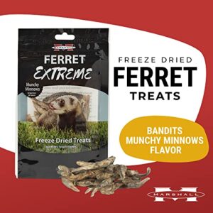 Marshall Pet Products Natural Grain and Gluten Free, High-Protein Extreme Freeze Dried Single Ingredient Treats, Munchy Minnows, for Ferrets, .3 oz