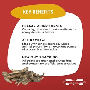 Marshall Pet Products Natural Grain and Gluten Free, High-Protein Extreme Freeze Dried Single Ingredient Treats, Munchy Minnows, for Ferrets, .3 oz