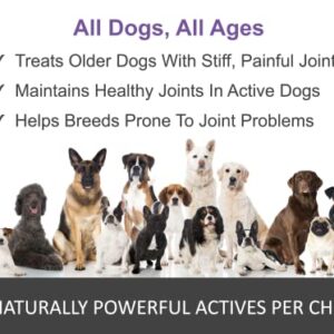 Joint Repair Advanced Hip & Joint Health Supplement for Dogs. Naturally Relieves Arthritis, Pain & Inflammation. Extra Strength Soft Chew Treats with Glucosamine, Chondroitin & MSM Improve Mobility