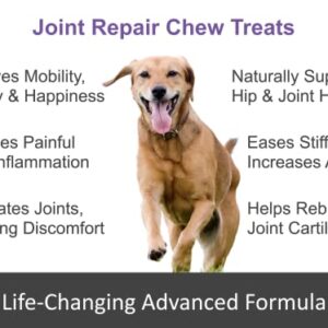 Joint Repair Advanced Hip & Joint Health Supplement for Dogs. Naturally Relieves Arthritis, Pain & Inflammation. Extra Strength Soft Chew Treats with Glucosamine, Chondroitin & MSM Improve Mobility