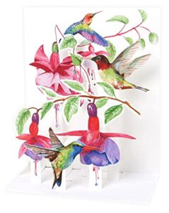 up with paper pop-up sight 'n sound greeting card - hummingbirds