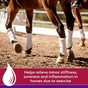 Farnam Vetrolin Horse Liniment Spray for Muscle Soreness, Stiffness and Inflammation Relief, Helps Reduce Swelling, Aids in Pain Relief, Non-Aerosol Spray, Easy Application, 20 Oz.