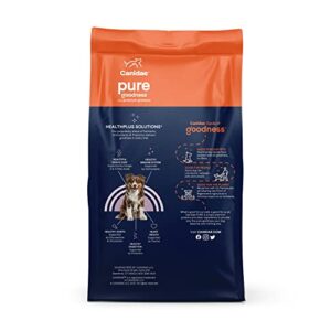 Canidae Pure Real Bison, Lentil & Carrot Recipe Adult Dry Dog 21 LB