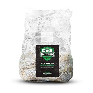 co2 emitting reishi mushroom kits - carbon dioxide booster bag (standard) - pre-activated