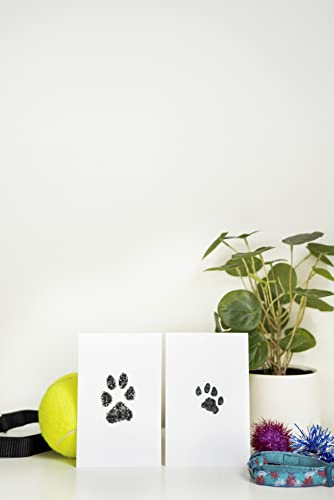 Pearhead Small Pet Paw Print Clean-Touch Ink Pad and Imprint Cards, for Small Sized Cats or Dogs, Pet Owner Gifts, DIY Keepsake Pawprint Maker, Black