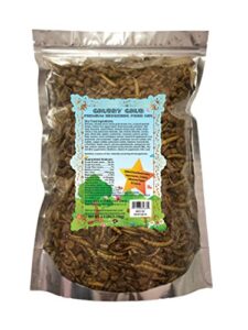 premium hedgehog food w/ dried mealworms superworms crickets silkworm pupae locusts (2.5 lbs)