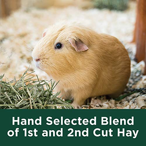 Kaytee All Natural Timothy Hay for Guinea Pigs, Rabbits & Other Small Animals, 12 Pound