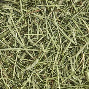 Kaytee All Natural Timothy Hay for Guinea Pigs, Rabbits & Other Small Animals, 12 Pound