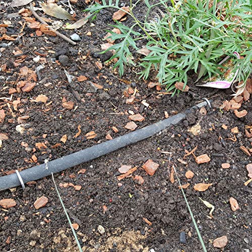 ECOgardener Extra Heavy Duty Galvanized Weed Barrier Landscape Fabric Staples