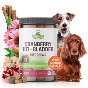 cranberry supplement for dogs -120 grain free dog treats - cranberry chews for urinary tract infection treatment uti relief bladder control support ut incontinence - d-mannose, organic echinacea, usa