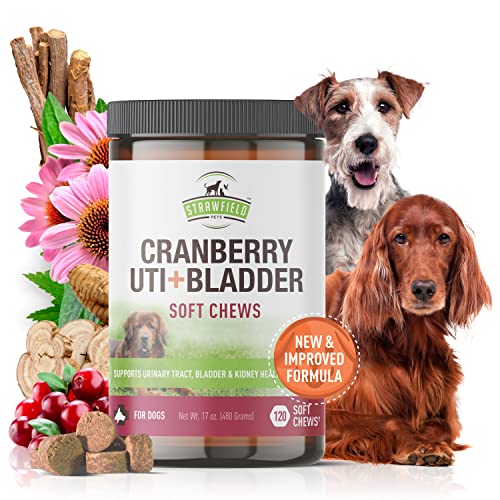 Cranberry Supplement for Dogs -120 Grain Free Dog Treats - Cranberry Chews for Urinary Tract Infection Treatment UTI Relief Bladder Control Support UT Incontinence - D-Mannose, Organic Echinacea, USA