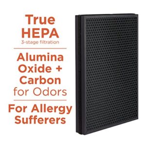 Aprilaire Allergy True HEPA Room Air Purifier 9550 with 3-Stage Filtration, Captures Allergens & Odors, Ozone Free, 495 sq. ft. Rooms