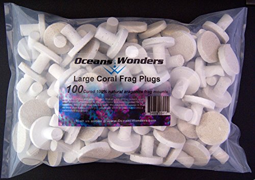 Oceans Wonders Large Coral Frag Plugs 100pc