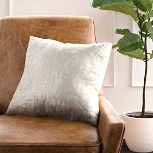 Amazon Brand – Rivet Modern Metallic Velvet Decorative Throw Pillow, Soft and Luxurious, 17" x 17", Silver