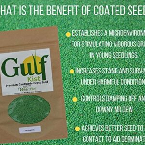 Centipede Grass Seed for a Dense Green Lawn, NO Mulch, 1 lb Coated Seeds, Sun and Moderate Shade Tolerant Lawn Seeding and Turf Patch Repair, Southern Southeast US, Low Fertilizer Low Maintenance