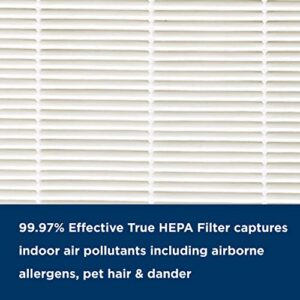 AprilAire RF09550P Allergy + Pet True HEPA Air Purifier Replacement Filter for AprilAire Room Air Purifier Model 9550, Removes Pet Allergens, Viruses, & Odors, Ozone Free
