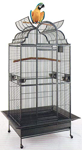 New Large Elegant Wrought Iron Dome Play Top Bird Parrot Cage, Include Metal Seed Guard Solid Metal Feeder Nest Doors (24" W x 22" D x 63" H, Black Vein)