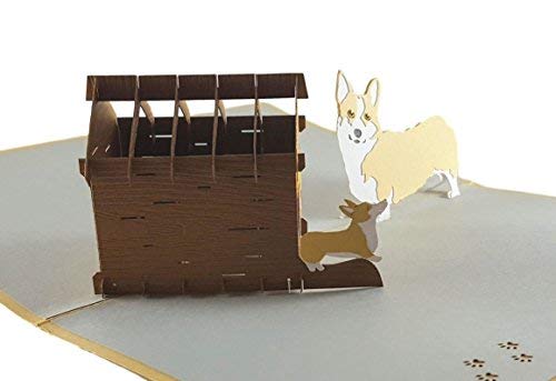 iGifts And Cards Mama Corgis N Puppies 3D Pop Up Greeting Card - Cute, Canine, Pet, Dog, Doggies, Half-Fold, Happy Birthday, Just Because, Thinking of You, Baby Shower, Retirement, Friendship, Fun