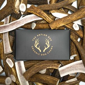 the antler box-premium elk antler dog chews (1 lb bulk pack) (whole/split mixed, large)