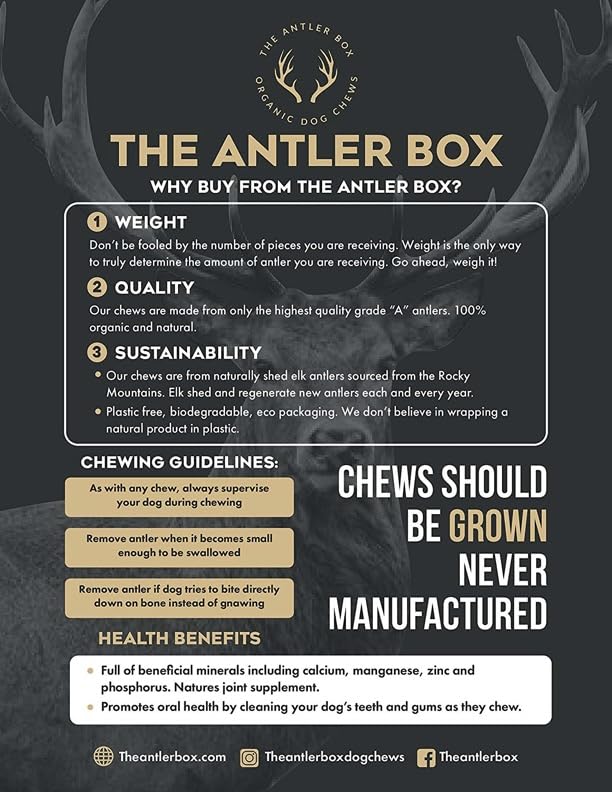 The Antler Box-Premium Elk Antler Dog Chews (1 lb Bulk Pack) (Whole/Split Mixed, Large)