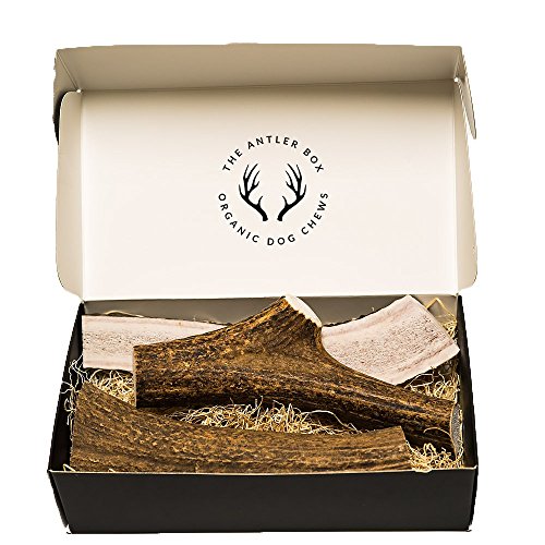 The Antler Box-Premium Elk Antler Dog Chews (1 lb Bulk Pack) (Whole/Split Mixed, Large)