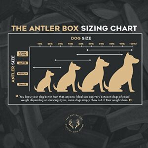 The Antler Box-Premium Elk Antler Dog Chews (1 lb Bulk Pack) (Whole/Split Mixed, Large)