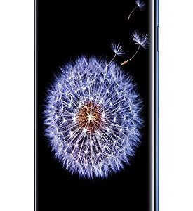 Samsung Galaxy S9 Plus (SM-G965F/DS) 6GB / 128GB 6.2-inches LTE Dual SIM Factory Unlocked - International Stock No Warranty (Coral Blue)