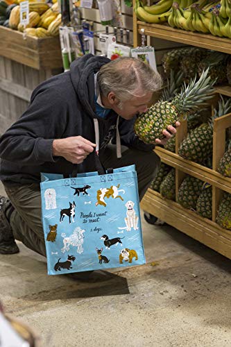 Blue Q Shopper ~ People I Want to Meet: Dogs. Reusable grocery bag, sturdy, easy-to-clean, perfect for dog lovers, 15"h x 16"w x 6"d, made From 95% recycled material.