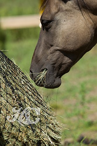 hay chix Slow Feed Hay Net for [Horse and Livestock Health, hay Feeder, hay net, Slow Feed hay net] Save Your time, hay and Money! Half Bale Net (1 3/4" Original)