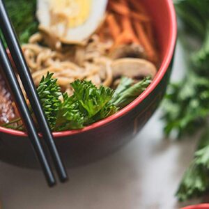 Japanese Ceramic Ramen Bowl Set - Ramen Noodles Bowl with Chopsticks & Soup Spoon - Red Dragon Japanese Food Dish Set - Asian Food Serving Dishes - Gift Set - Pho Soup Bowl - Asian Rice Bowls - 42 oz