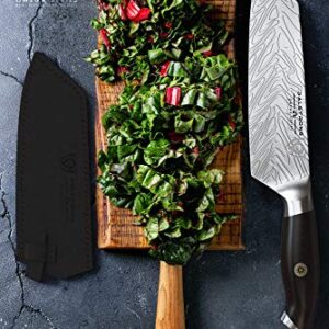 Dalstrong Santoku Knife - 7 inch - Omega Series - BD1N-V Hyper Steel Kitchen Knife - G10 Woven Fiberglass Handle - Razor Sharp Knife - Leather Sheath Included